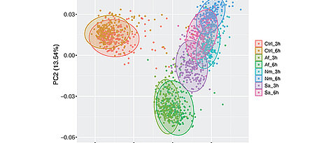 Analysis of RNA sequencing data of immune cells (monocytes) from 215 healthy individuals. Each dot represents the transcriptional response of an individual in unstimulated monocytes (Ctrl) and after exposure to different pathogens (fungus: Aspergillus fumigatus (Af); bacteria: Neisseria meningitidis (Nm) and Staphylococcus aureus (Sa), respectively) for three and six hours. The colours indicate the stimulus and the time.
