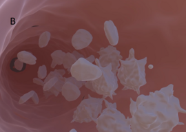 Image of virtual platelets