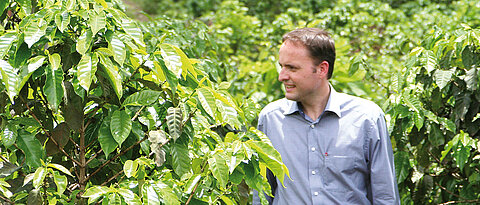 Thomas Eckel walking through a coffee plantation.