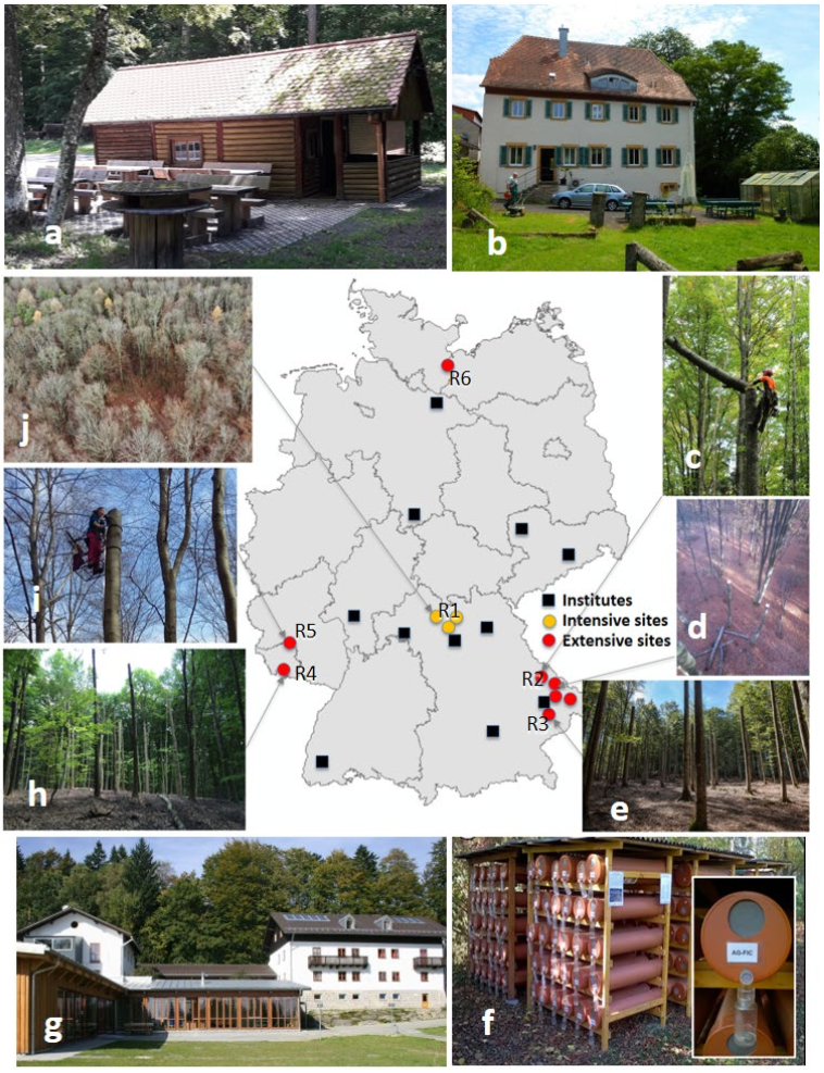 [Translate to Englisch:] Distribution of institutes involved in the Research Unit, intensive sites in the University Forest Sailershausen and extensive sites across Germany