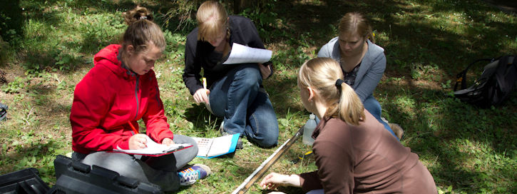 Studierende untersuchen Bodenschichten.