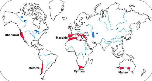 Mediterrane Gebiete (Grafik: BGW)