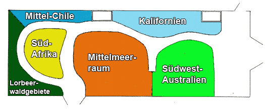 Belegungsplan des Mediterranhauses