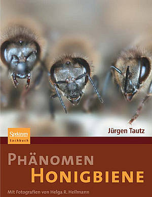 Titelbild des neuen Buchs