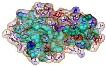 Molekülmodell