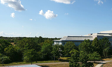 Rund ums Biozentrum der Uni Würzburg liegt eine größere Heckenlandschaft.