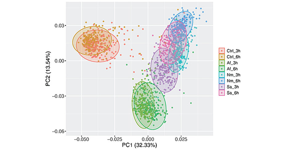 Analysis of RNA sequencing data of immune cells (monocytes) from 215 healthy individuals. Each dot represents the transcriptional response of an individual in unstimulated monocytes (Ctrl) and after exposure to different pathogens (fungus: Aspergillus fumigatus (Af); bacteria: Neisseria meningitidis (Nm) and Staphylococcus aureus (Sa), respectively) for three and six hours. The colours indicate the stimulus and the time.