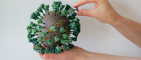 Das 3D-Modell des neuen Coronavirus SARS-CoV-2 und eines Antikörpers, 1.000.000-fach vergrößert.