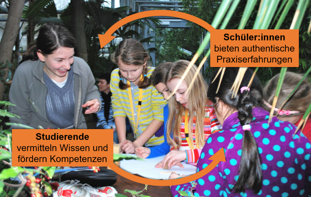 Das Foto zeigt Schüler:innen und Studierende bei einem Aktionsprogramm im Botanischen Garten.