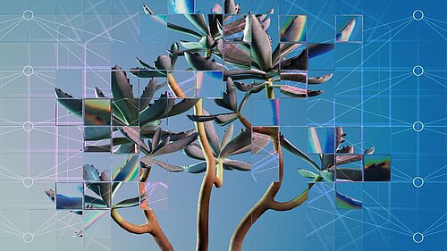 A photographic rendering of a succulent plant seen through a refractive glass grid, overlaid with a diagram of a neural network.