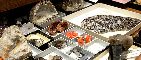 Blick in die Sammlung des Mineralogischen Museums.