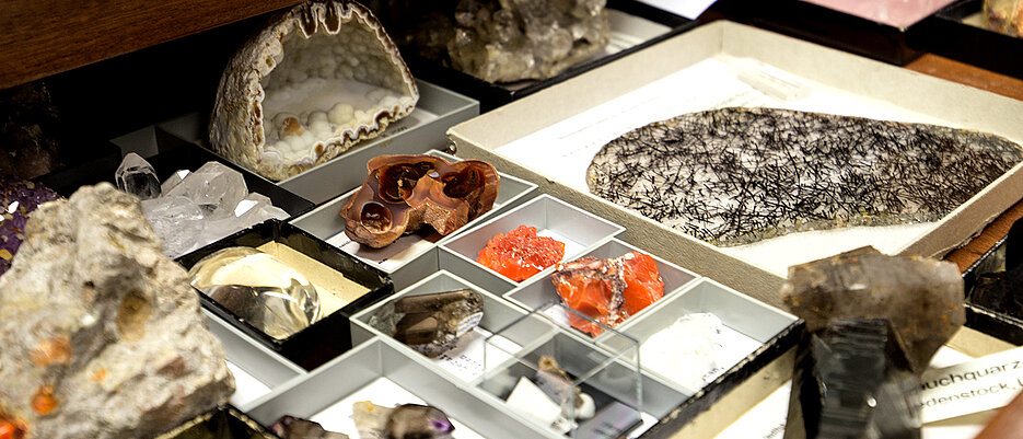 Blick in die Sammlung des Mineralogischen Museums.