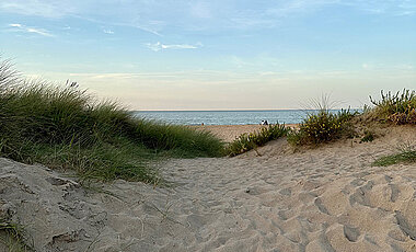 Ein Sandweg führt durch eine Düne, im Hintergrund sieht man das Meer