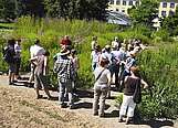 Besuchergruppe in der "Nordamerikanischen Prärie" (Foto: BGW)