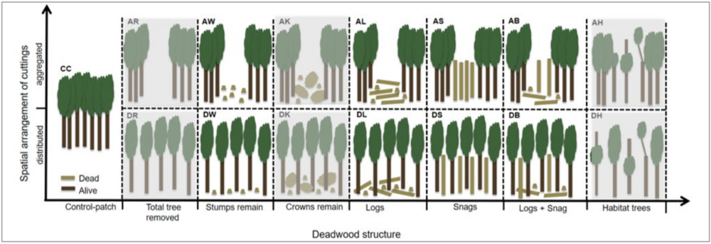 [Translate to Englisch:] ESBC treatments on the 50x50m patches realized in each ESBC district. Shaded treatments are realised only at the three intensive sites in the University Forest Sailershausen.