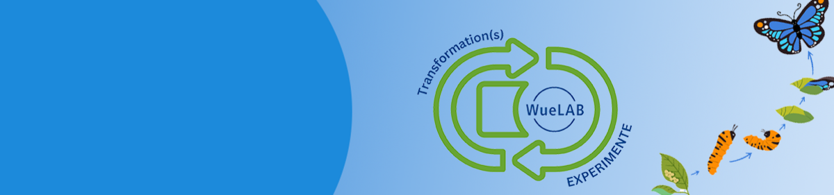 Ideen für Transformationsexperimente?