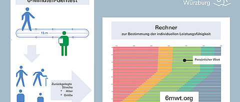 Auf der Website www.6mwt.org können in den Kalkulator die Strecke, die in 6 Minuten zurückgelegt wurde, das Alter und die Körpergröße eingegeben und unmittelbar die individuelle Leistungsfähigkeit im Verhältnis zur Normalbevölkerung abgelesen werden.