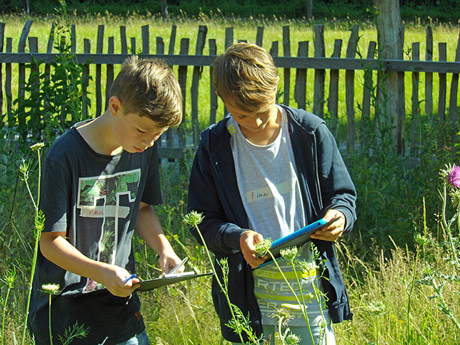Zwei Schüler bestimmen im Wild-Park Klaushof Pflanzen mit einer App.