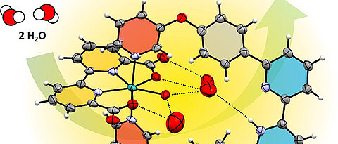 Enzyme-like water preorganization in front of a Ruthenium water oxidation catalyst.