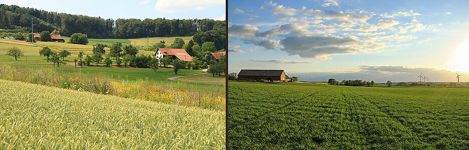 Small-scale agricultural landscapes (left) offer advantages: they promote biological diversity, pollination and natural pest control. 