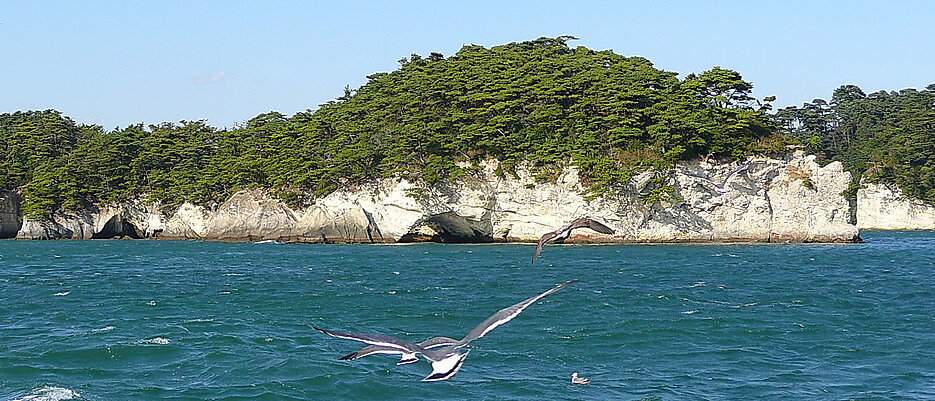 Die Kieferninseln von Japan stehen im Zentrum der Lesung von Marion Poschmann. (Foto: lienyuan lee, Wikimedia Commons)