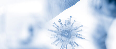 Image of a spherical virus with spike proteins on the surface. 