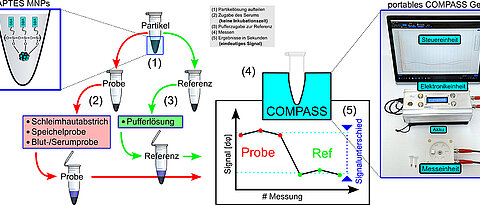 With the novel COMPASS test, antibodies against SARS-CoV-2 can be detected in a few seconds.