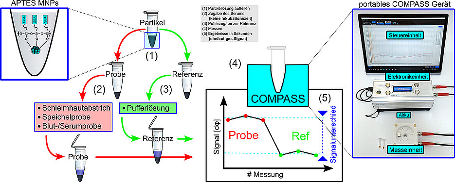 With the novel COMPASS test, antibodies against SARS-CoV-2 can be detected in a few seconds.