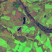 Aus Satellitendaten erzeugtes Bild einer Agrarlandschaft in Norddeutschland vom Februar 2020. Auf den Feldern wächst Winterweizen: Je intensiver das Grün ist, umso vitaler sind die Pflanzen.