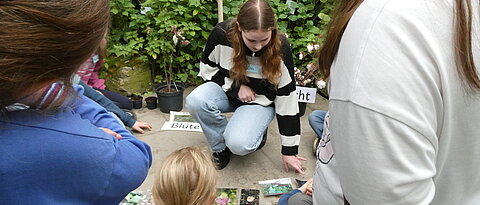 Die Studentin zeigt die Entwicklung der Baumwolle vom Samen zur Frucht.