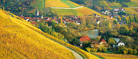 Das Winzerdorf Randersacker am Main liegt südlich von Würzburg. Foto: Elmar Hahn