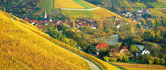 Das Winzerdorf Randersacker am Main liegt südlich von Würzburg. Foto: Elmar Hahn