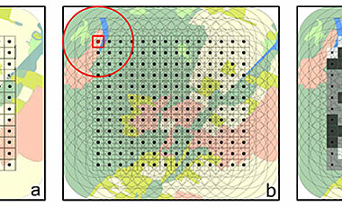 Computergestützte Auswahl der Versuchsflächen. Mit Hilfe eines Geoinformationssystems werden Landschaftsaspekte berechnet und später bei der Auswahl der Flächen berücksichtigt. Die finalen Karten (rechts) zeigen mögliche Standorte an (hellgrau = geeignet, dunkelgrau = ungeeignet).