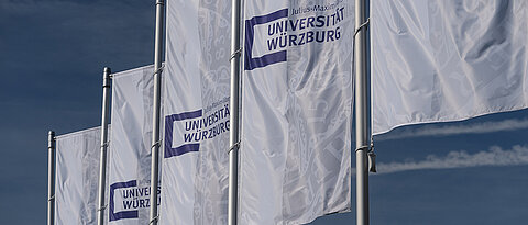 Neue Professuren für die Universität geben dem KI-Standort Würzburg zusätzlichen Schub.
