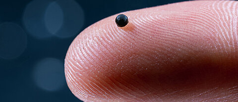 Auf einer Fingerkuppe: So klein ist der neueste an der ETH Zürich entwickelte Mikroroboter. Er bringt Medikamente an ihren Wirkort und löst sich dann auf.