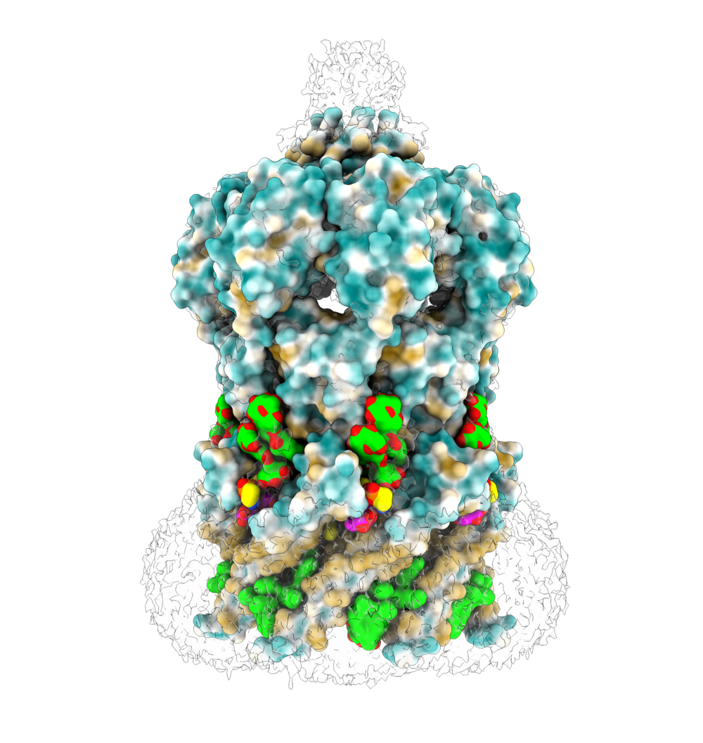 Research image of Böttcher Group