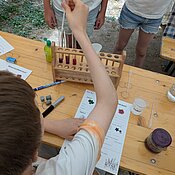 Schüler:innen experimentieren mithilfe des Rotkohlindikators.