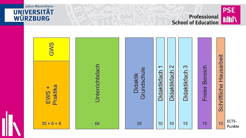 Visualisierung der Elemente des Studium