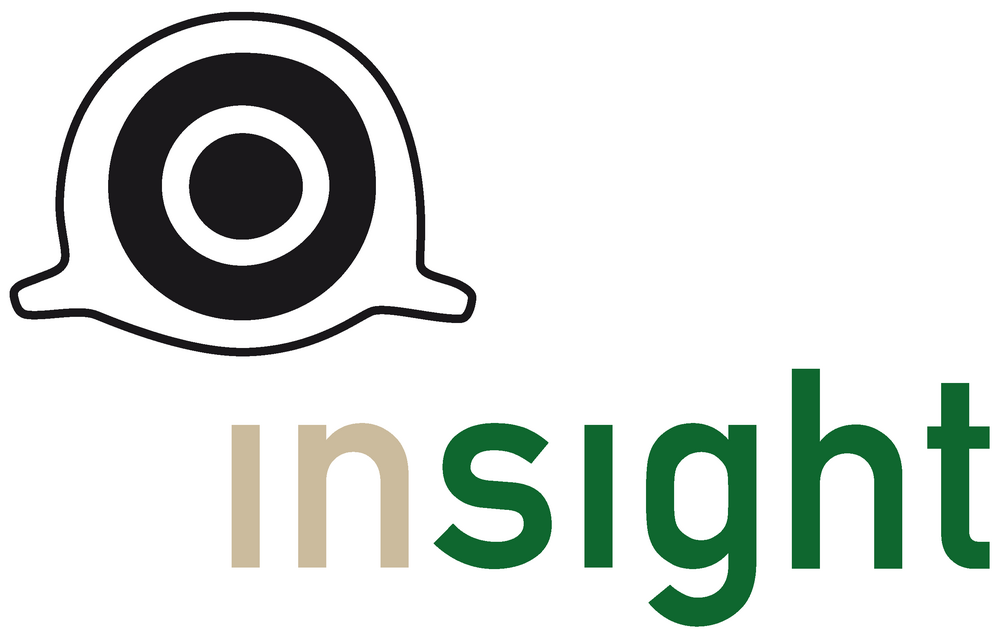 INSIGHT Projektlogo