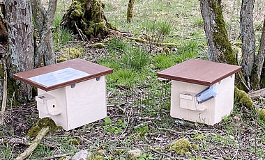 Hummel-Nistkästen im Feld.