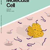 Das Titelbild der aktuellen Ausgabe der Fachzeitschrift Molecular Cell.