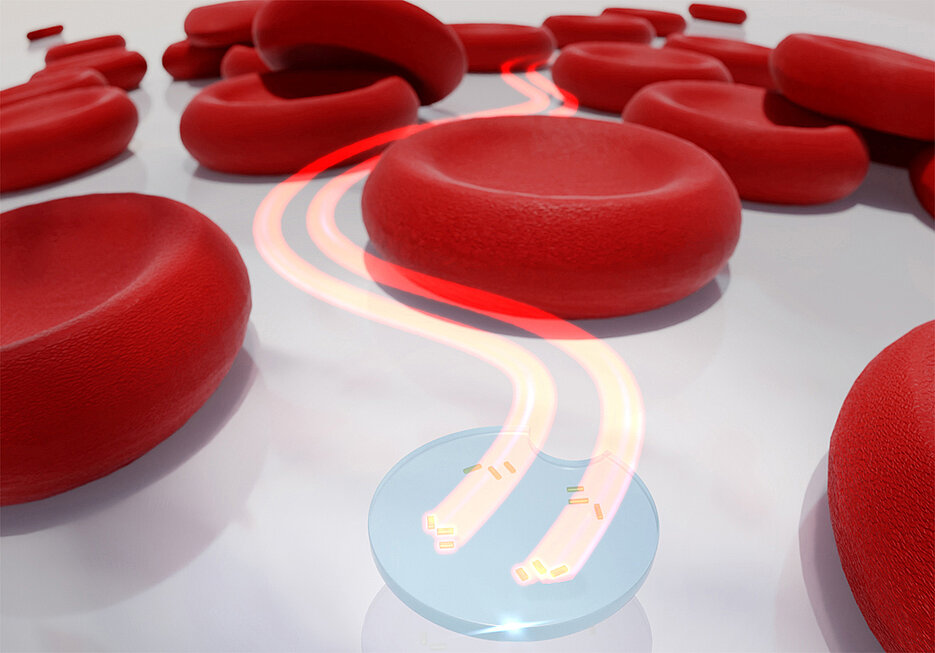 Artistic representation of a microdrone with two active light-driven nanomotors between red blood cells. 