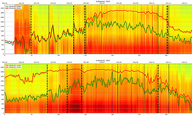Audiospektrogramme der Jahre 2021 (oben) und 2022 (unten). Je intensiver das Rot, desto mehr Energie ist in einem Frequenzbereich vorhanden und umso lauter ist das aufgenommene Bienensummen. Die senkrechten schwarzen Linien zeigen die Change Points: Sie gehen immer mit einer Änderung der Lautstärke einher. 