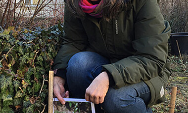 Diplom-Biologin Renate Ullrich zeigt auf einem Foto die Blüten der Bienenragwurz.