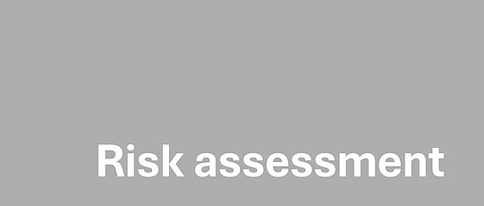 risk assessment