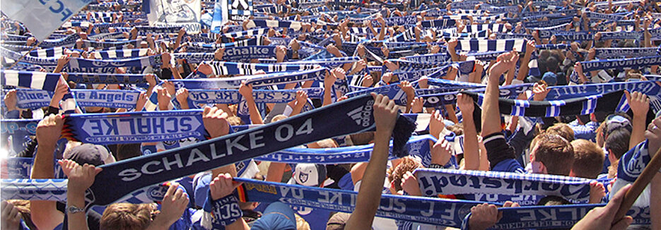 Schalke-Fans im Stadion (Foto: Bredehorn Jens / pixelio.de)