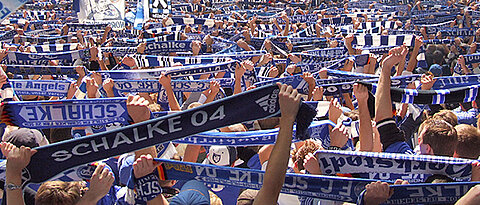 Schalke-Fans im Stadion (Foto: Bredehorn Jens / pixelio.de)