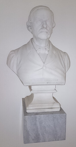 Bust of Albert von Koelliker