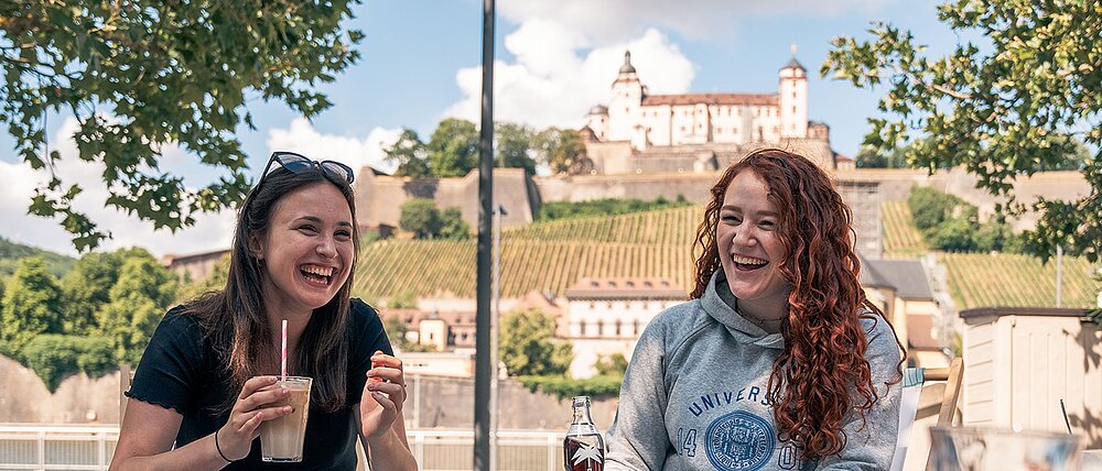 Wuerzburg erleben, Blick auf Alte Mainbruecke, Festung