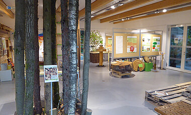Einblicke in die Holz-Ausstellung im Botanischen Garten